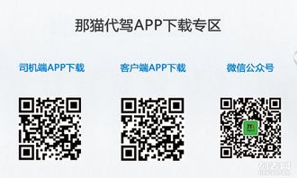 就在那貓代駕 全場景專業代駕服務專家