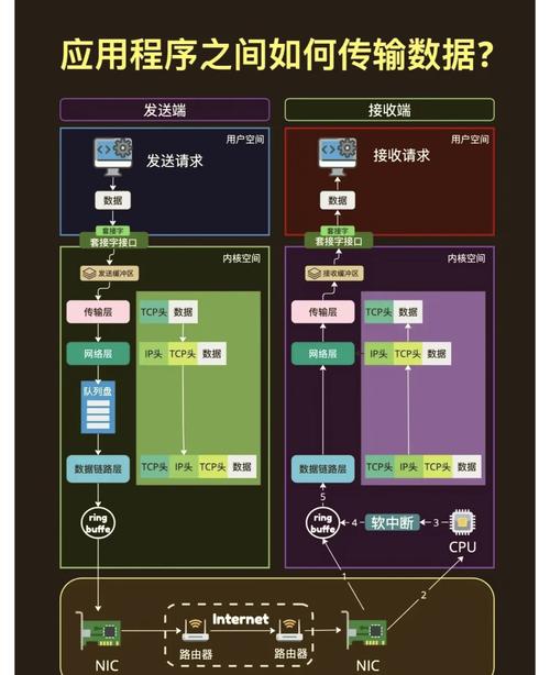 互聯網數據服務 數字經濟的核心引擎與未來展望